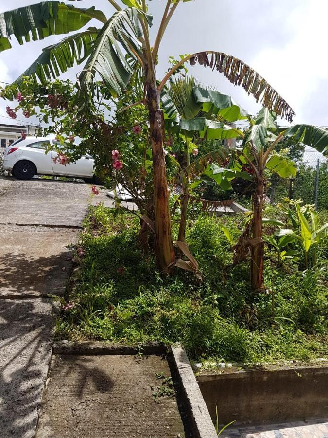 F1 Studio Martinique Guinee-Fleury Exterior photo